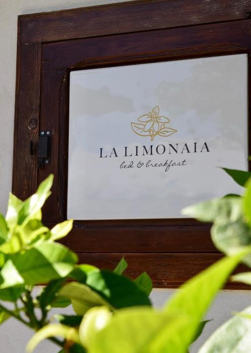 Tollo Bed & Breakfast | B&B La Limonaia