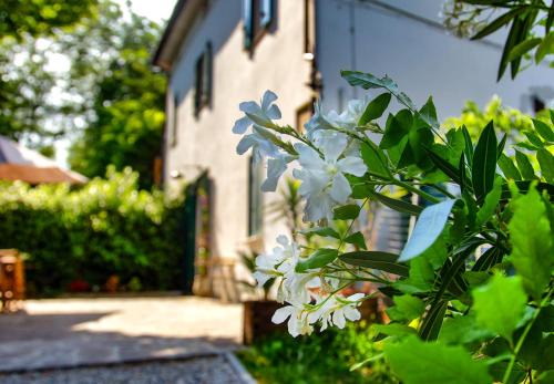 Castel San Pietro Terme Bed & Breakfast | Bed & Breakfast Varinianus