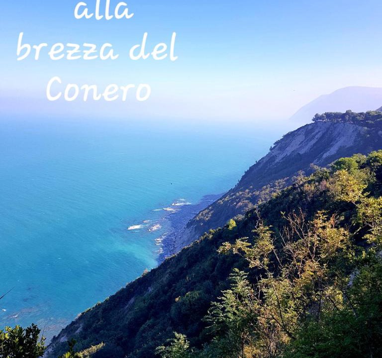 Ancona Apartment | BREZZA DEL CONERO