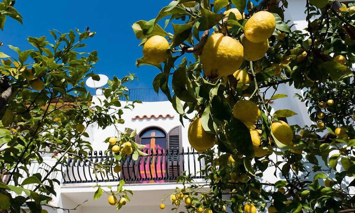 Sperlonga Apartment | Casa Vacanza La Limonaia
