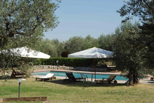 Tocco da Casauria Apartment | Chalet 6 Agriturismo