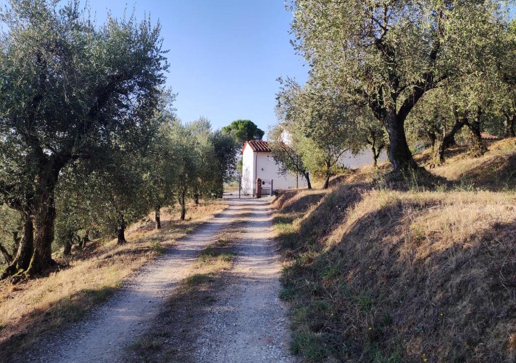 Buggiano House | Da Poldino