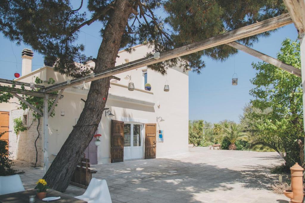 Terlizzi House | Don Oscario