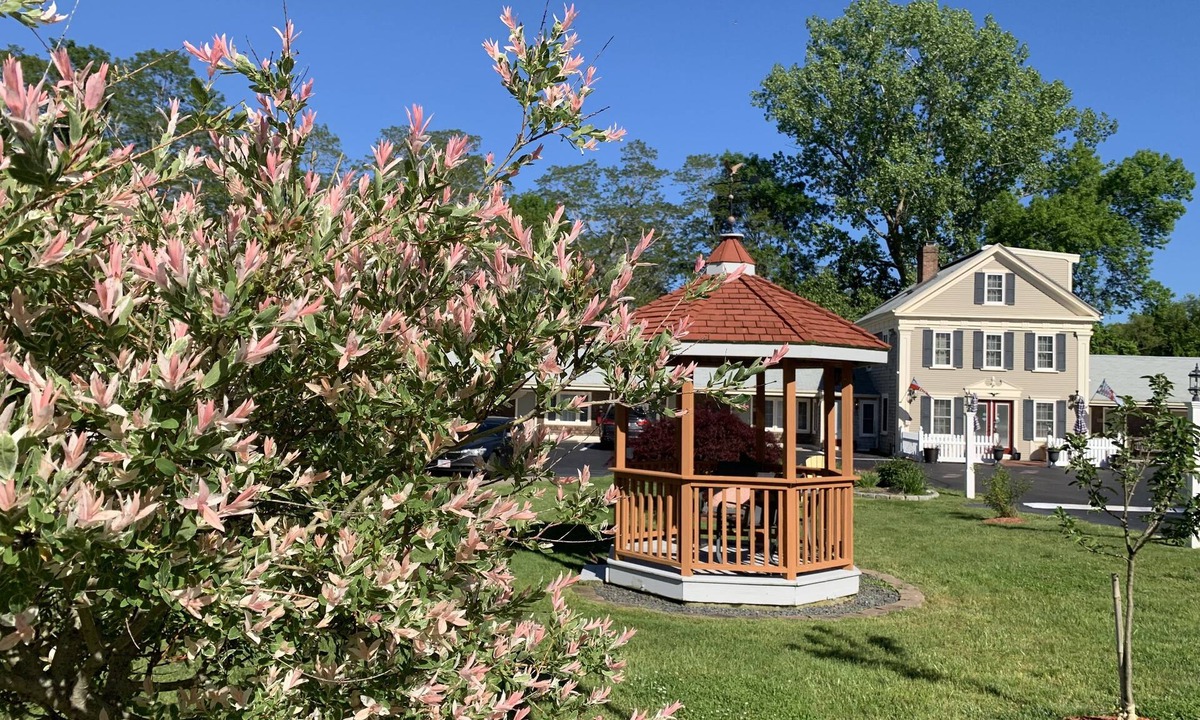 Eastham Hotel | Eagle Wing Inn - Cape Cod