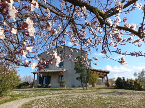 Falciano Apartment | Ettaro Verde studio apartment for holidays