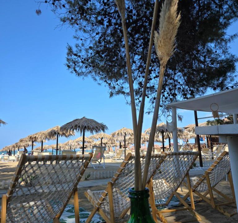 Silvi Hotel | Hotel Petit