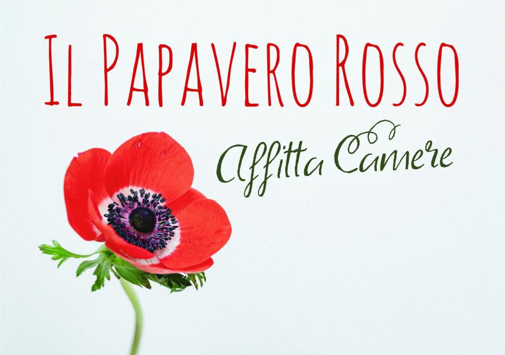 Navelli Apartment | Il papavero rosso