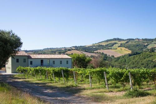 Cupramontana Apartment | Italian Experience-Zena Suite