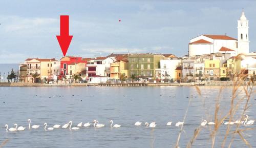 Lesina House | L'Isola