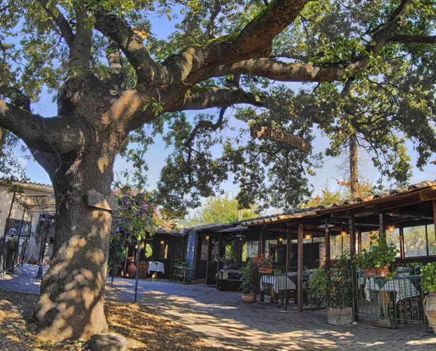Selci Bed & Breakfast | La Vecchia Quercia