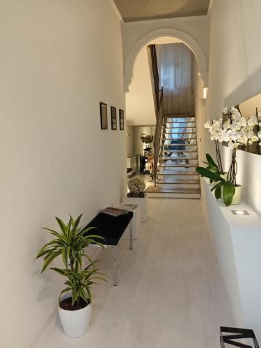 Porto Sant'Elpidio Apartment | LOFT VENTURI apartment & garden