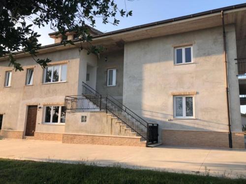 Offida House | Palme e vigne