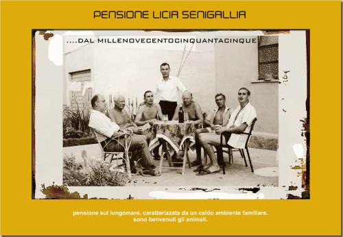 Senigallia Hotel | pensione licia