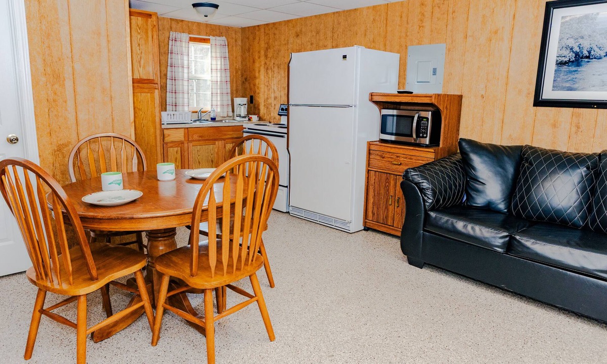 Northfork Cabin | Pet friendly 1-bedroom cabin in Crumpler minutes from HMT’s Indian Ridge