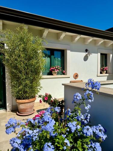 Terlizzi Bed & Breakfast | Stella