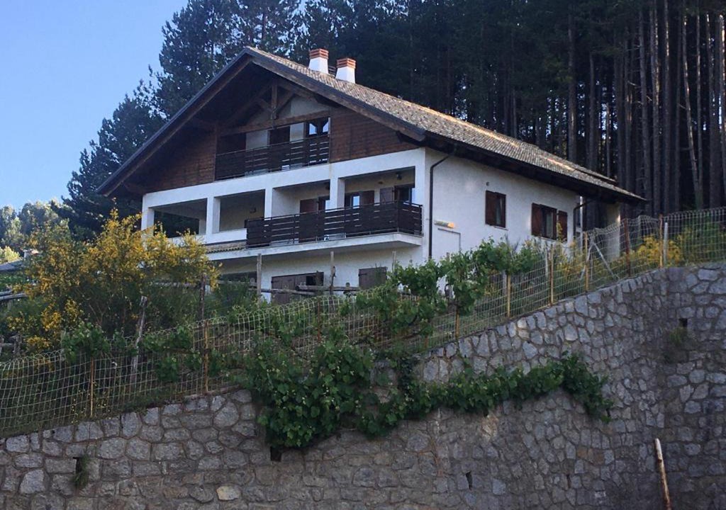 Lorica House | Tra il bosco e il lago