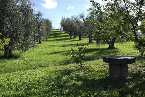 Palaia Villa | Villa Podere Torre
