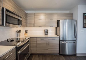 Bright 2BR home steps away from City Hall