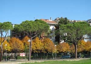 Hotel Torretta