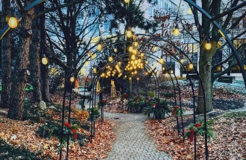 Fort Wayne Hotel | 3 Budget-Friendly Rooms Perfect for Exploring Lakeside Park Rose Garden