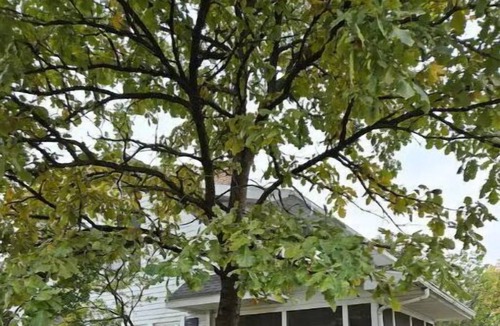 Kokomo House | Adorable Dutch Colonial Home