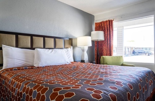 Ocala Hotel | Adventurous Comfort: Pet-Friendly Room Near Silver Springs