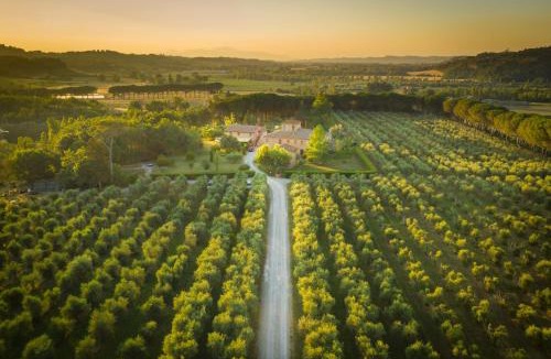 Terricciola House | Agriturismo Il Selvino