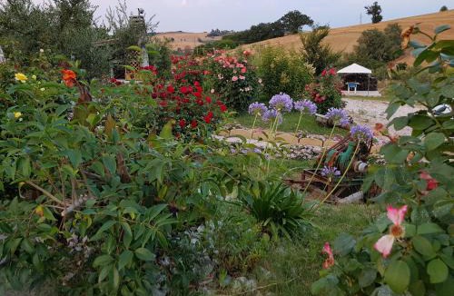 Pesaro House | Agriturismo La Stradaccia