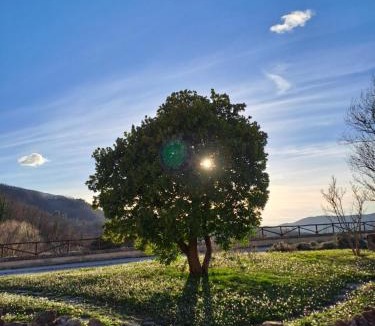 Assisi House | Agriturismo Le Case