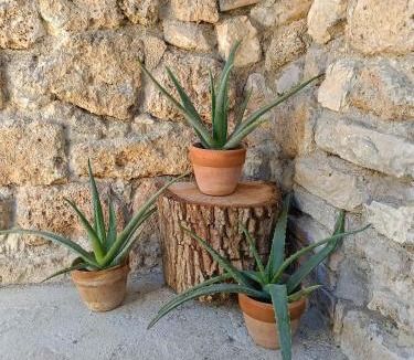 Sefro Bed & Breakfast | Al drago Maraone