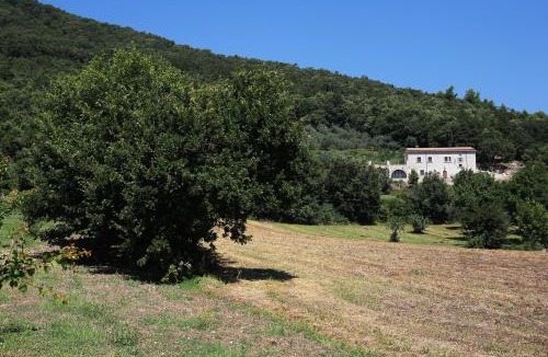 Faicchio House | Antico Casolare Ceselenardi