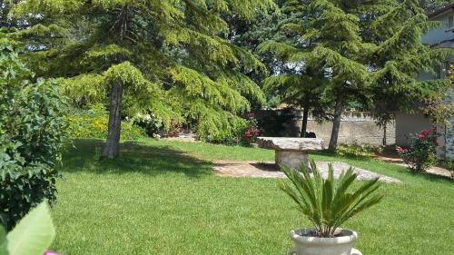 Benevento Bed & Breakfast | B&B Casa di Laura