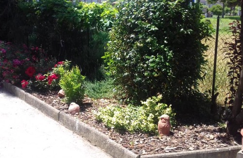 Marsciano Bed & Breakfast | B&B Casa Losea