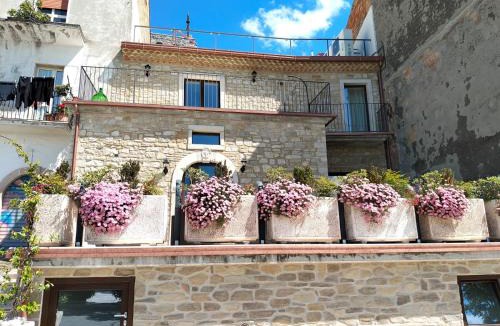 Celenza Valfortore Bed & Breakfast | B&B Celeste - Palazzo D'Addario