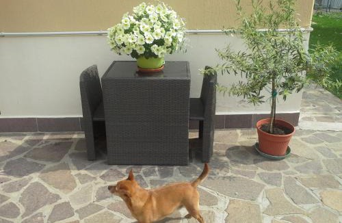 Lovoleto Bed & Breakfast | B&B Ciccilia