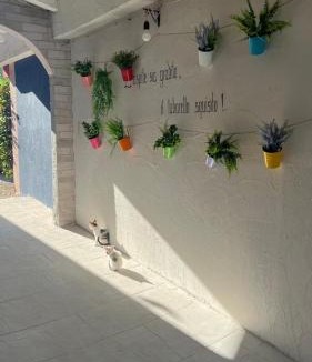 Cologna Spiaggia Bed & Breakfast | B&B Gli amici del tubarello