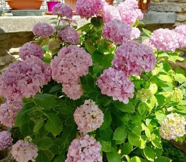 Cingoli Bed & Breakfast | B&B La Chioca