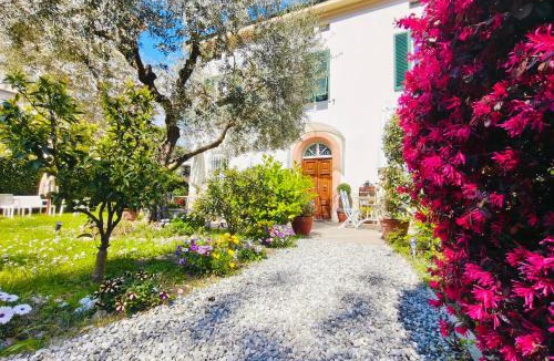 Lucca Historical Center Bed & Breakfast | B&B Villa Lula Lucca