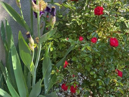 Cameri Bed & Breakfast | B&B Villa Noemi