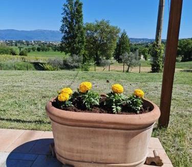 Bevagna Bed & Breakfast | Bevagna VILLA DEL COLLE CAMERA MERLOT