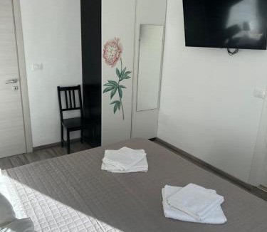 Ancona House | Casa Viorica