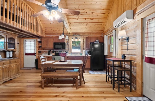 Birdseye Cabin | Charming cabin that has beds for 8 guests, hot tub, electric fireplace, firepit