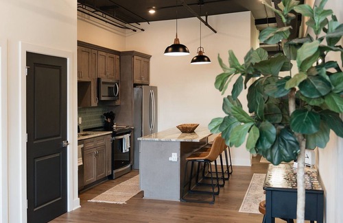 Troy Apartment | Charming Downtown Troy Stylish Loft Superhost