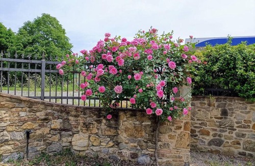 Pieve al Bagnoro Villa | CoachingHouseWinter