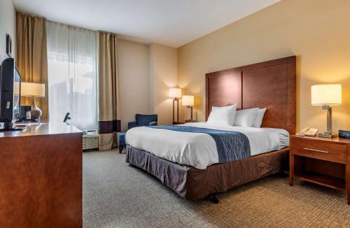 Apalachin Hotel | Comfort Inn Apalachin - Binghamton W Route 17
