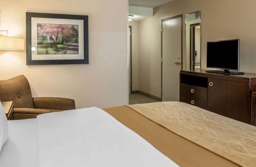 Bloomington Hotel | Comfort Inn Bloomington near University