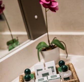 Vimercate Hotel | Cosmo Hotel Torri