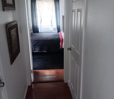 Mechanicsville Apartment | Downtown manor at Ormond