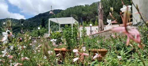 Portoferraio Villa | Duca House Small
