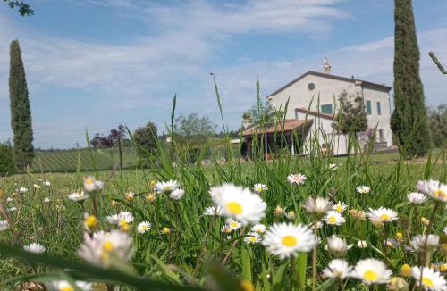 Falciano Apartment | Ettaro Verde studio apartment for holidays